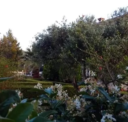 Semesterbostad Carousos *