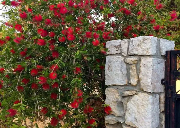 Carousos Дом отдыха Razata