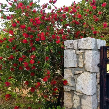 Carousos בית נופש Razáta